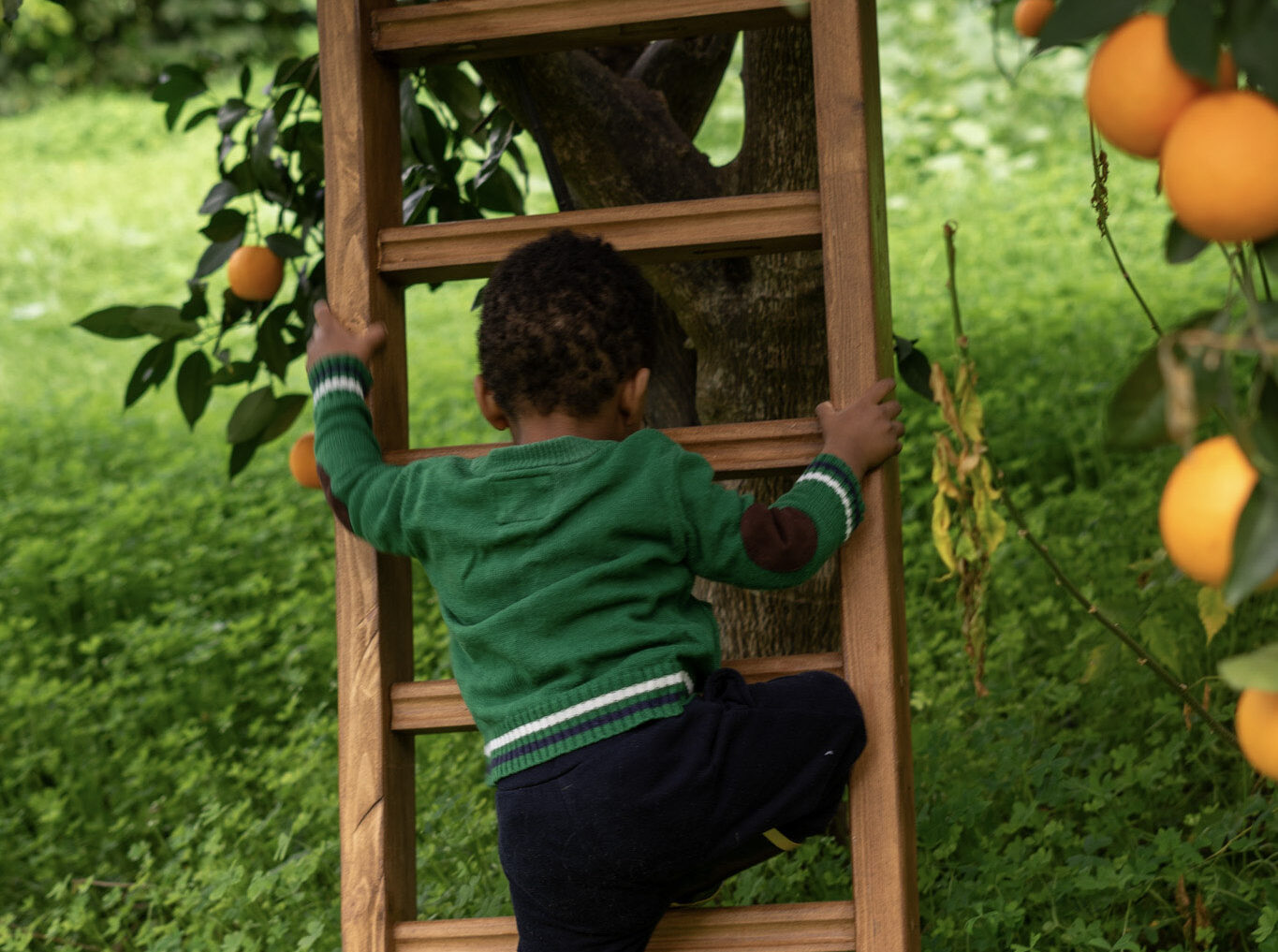 A toddler tries to climb up an orange using a ladder
