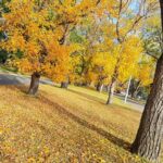 Magical Fall season in Canada